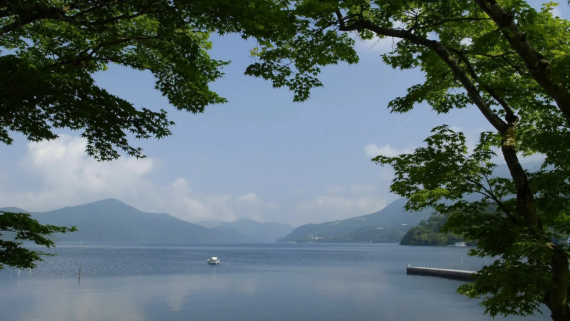 Hakone Hotel 4*,  Japan